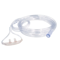 Cliquer pour agrandir