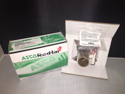 Feed Valve - VALVE REBUILD KIT 304817 **AU1I* VA089-1